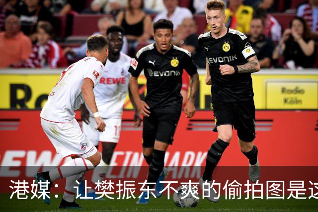 港媒：让樊振东不爽的偷拍图是这张 这位超级粉丝经常“偶遇”小胖